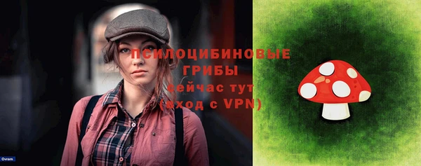 твердый Алексин
