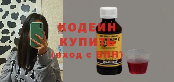 молекула духа Алзамай