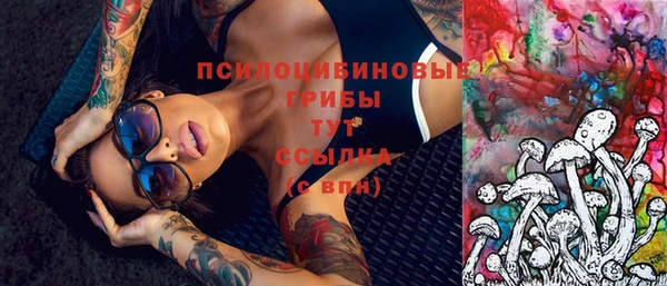 молекула духа Алзамай