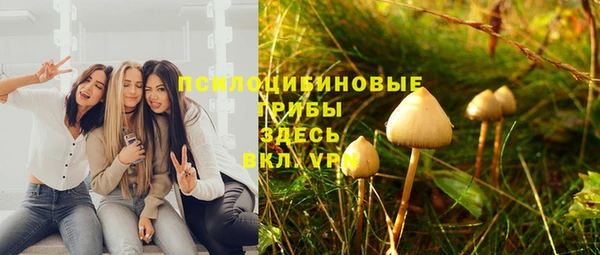 твердый Алексин