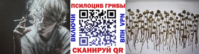 Галлюциногенные грибы MAGIC MUSHROOMS  Трёхгорный 